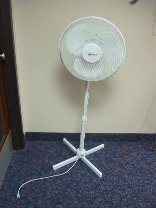 lot 19 image: Standing Fan, Works, Shows Wear, Needs Cleaning