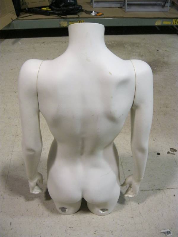 lot 48 image: 34H Female Half Mannequin  ...