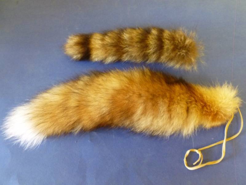 Fox Tail