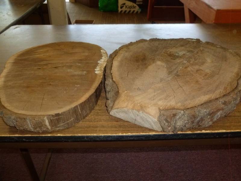Walnut Slabs