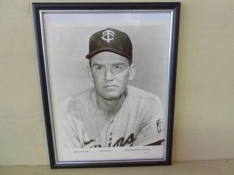 Vintage Minnesota Twins