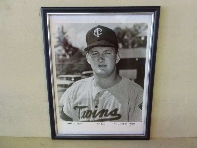 Vintage Minnesota Twins