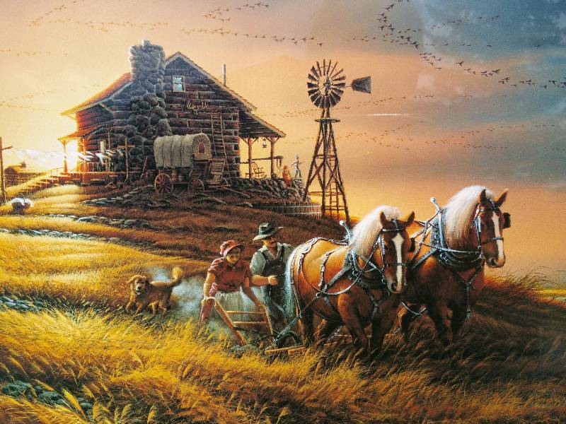 Terry Redlin For Amber Waves of Grain Signed  Numbered