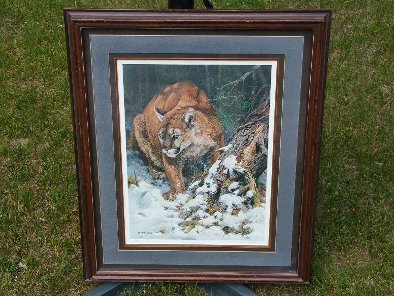 John Seerey-Lester Cougar  Mountain Lion Signed  Numbered