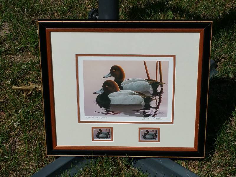 David Piece Duck Artist Proof Signed  Numbered
