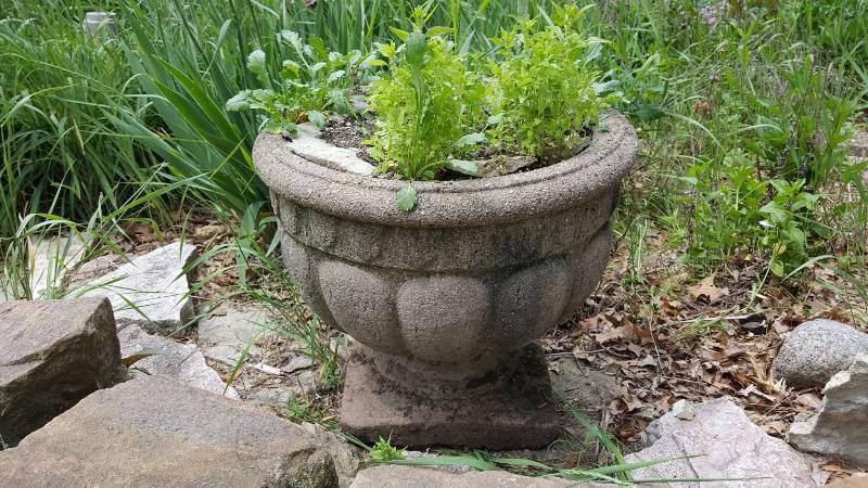 Concrete Planter
