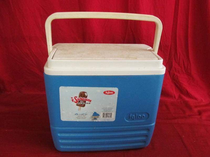 lot 29 image: Igloo cooler