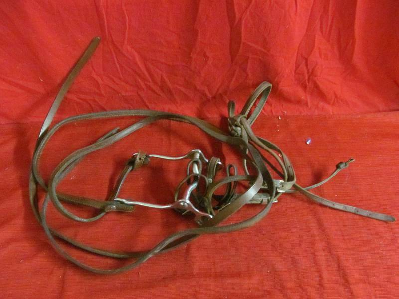 lot 101 image: harness and reins