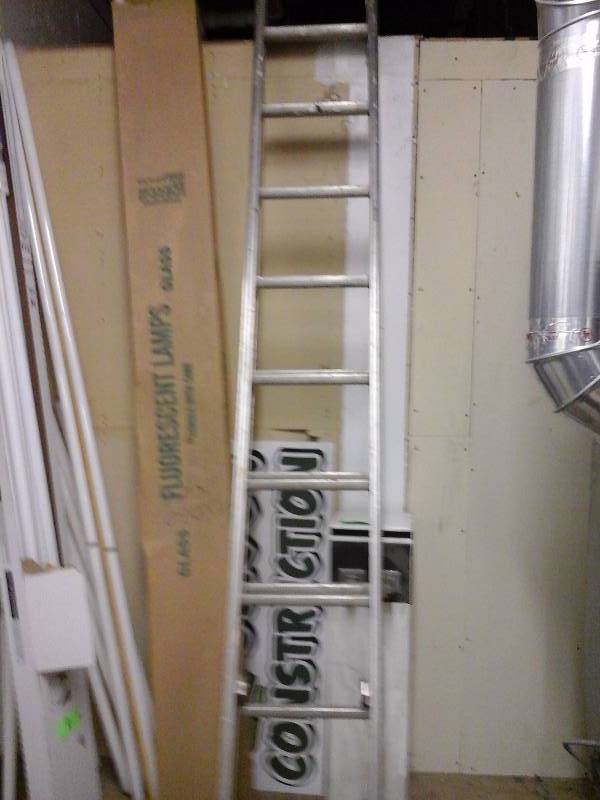 lot 49 image: Extension Ladder