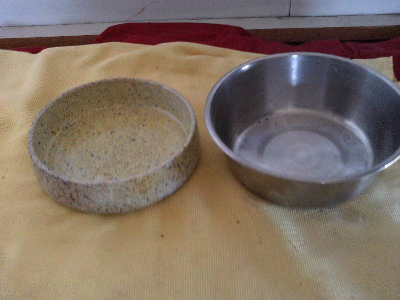 DOG DISHES