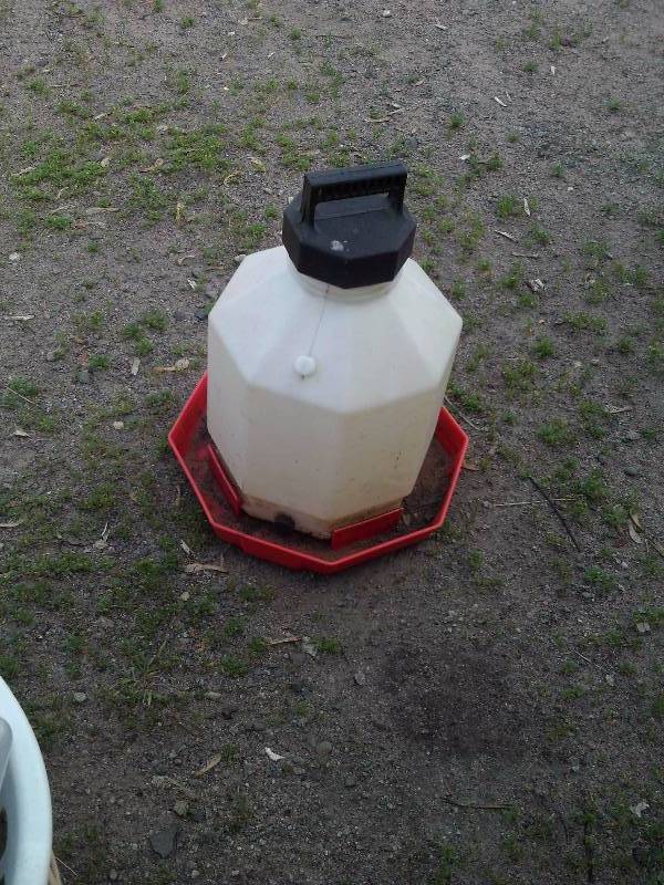 4 GALLON CHICKEN WATERER