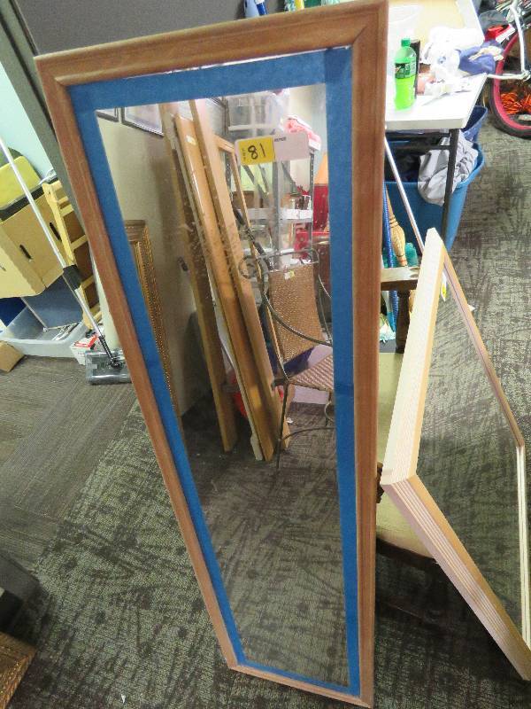 Door Mirror