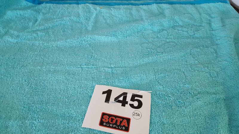 lot 145 image: Disney FROZEN Towel BLUE