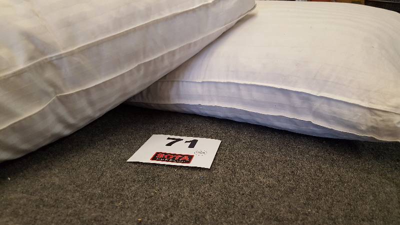 Set of two (2) - REAL Down Pillows  - Queen