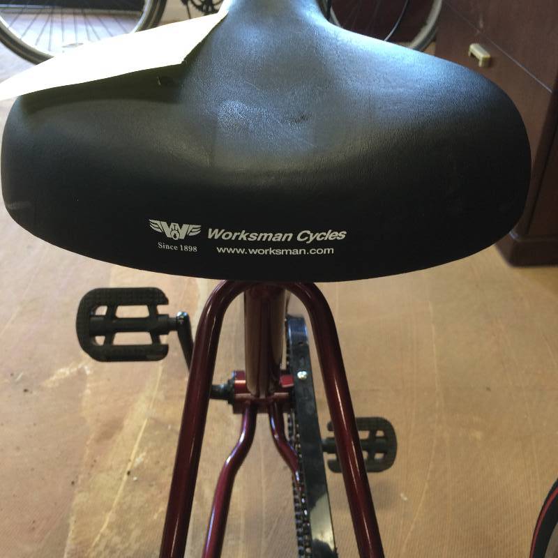 20 trrifecta Adult single speed Tricycle