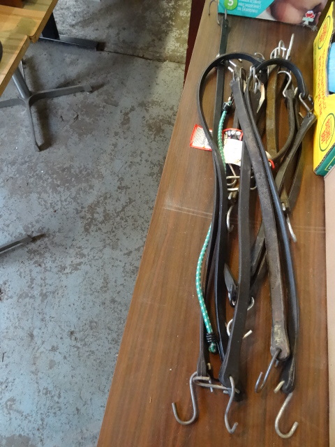 Bungee Cords