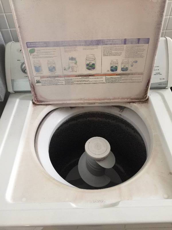 Amana Heavy Duty Washing Machine | Salon Liquidation - Everything Must