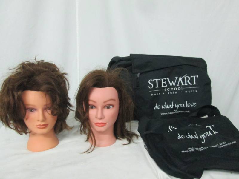 2 Stewart School Hair Dolls with Carrying Bags