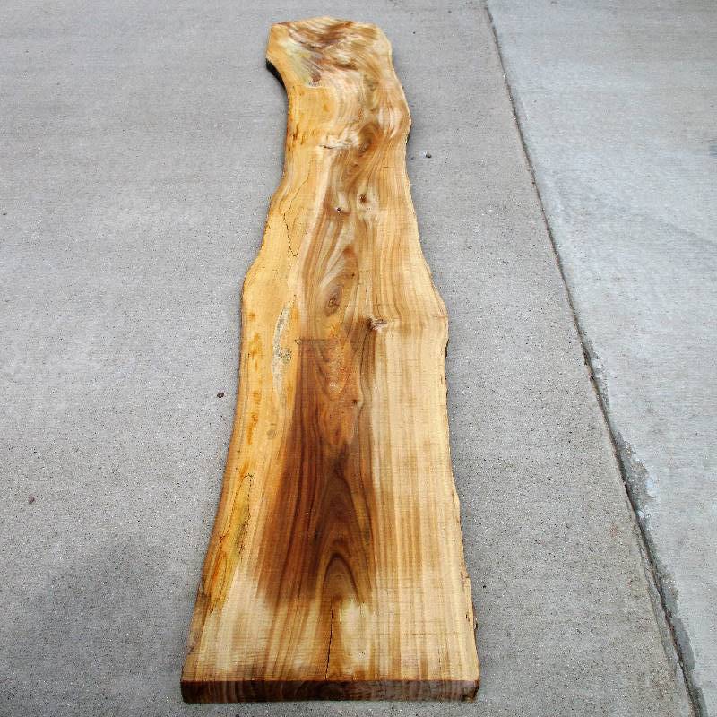 Elegant American Elm Wood