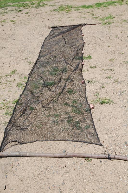 Minnow Net