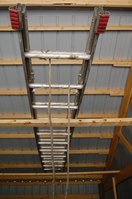 Extension Ladder