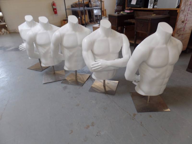 Male Torso Mannequins