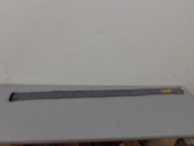 lot 79 image: Cabelas Gun Sleeve