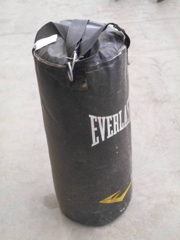 lot 113 image: Everlast Hanging Kick Bag ...