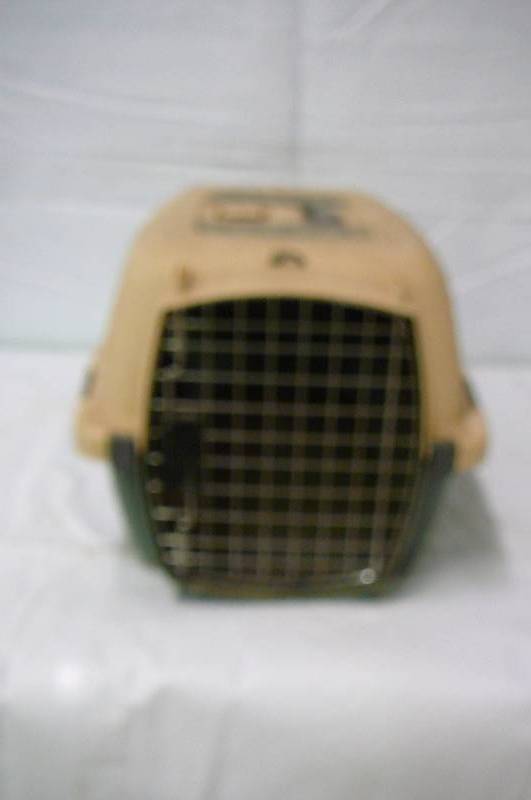 PET PORTER
