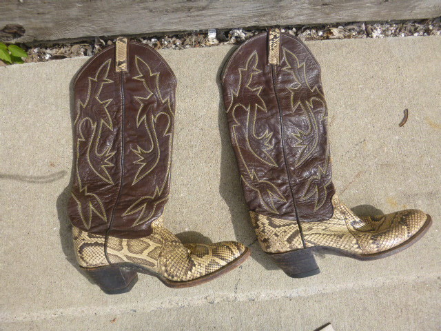Womens Dan Post Boots