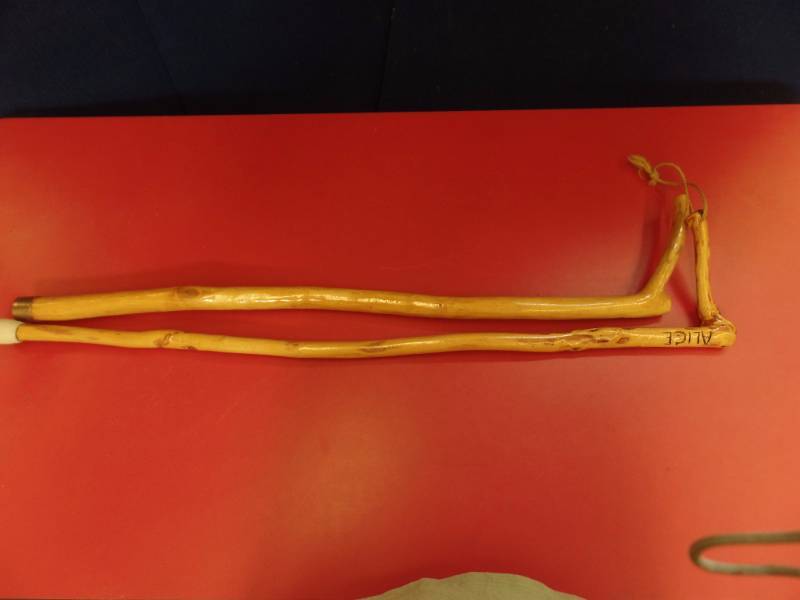 Walking Sticks