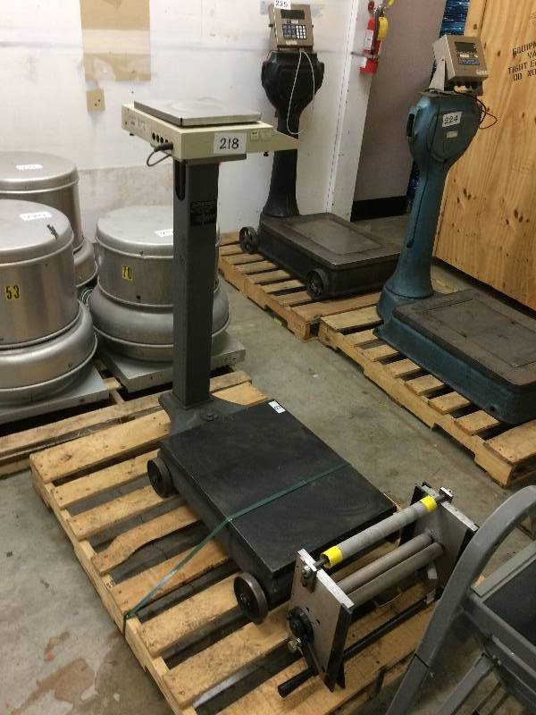 Platform scale