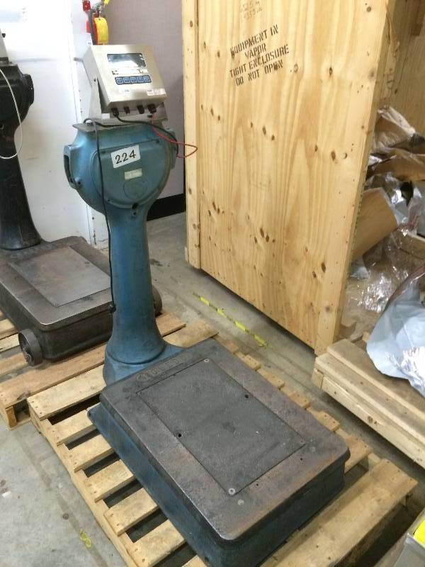 Platform scale