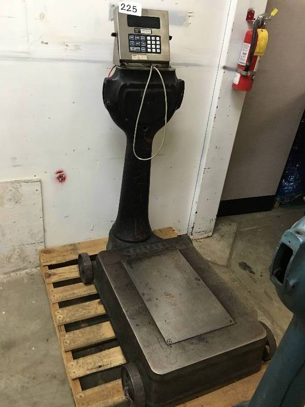 Platform scale