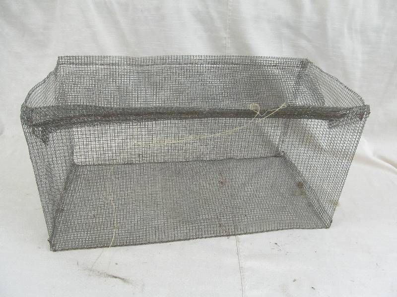 lot 166 image: Wire Cage