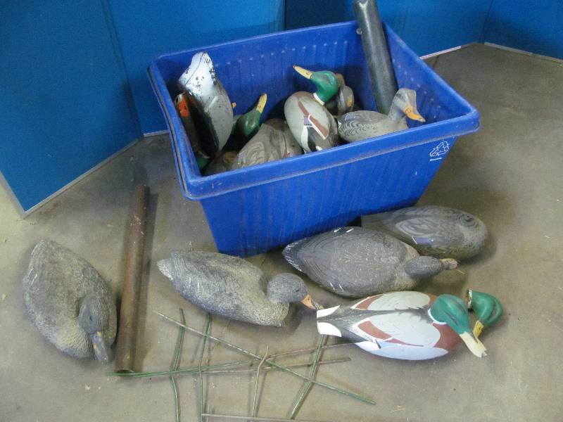 lot 184 image: Duck Decoys