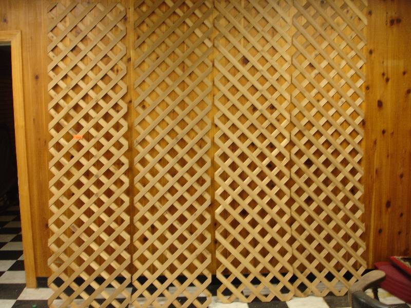 lot 11 image: Lattice