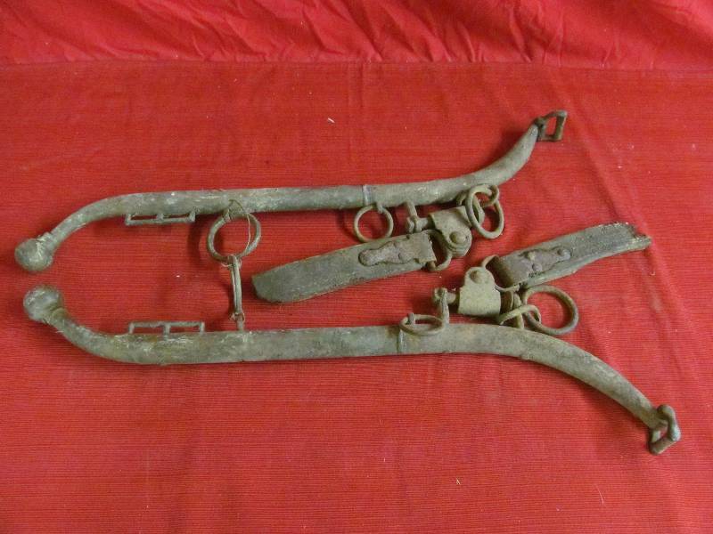 lot 93 image: Horse Hanes