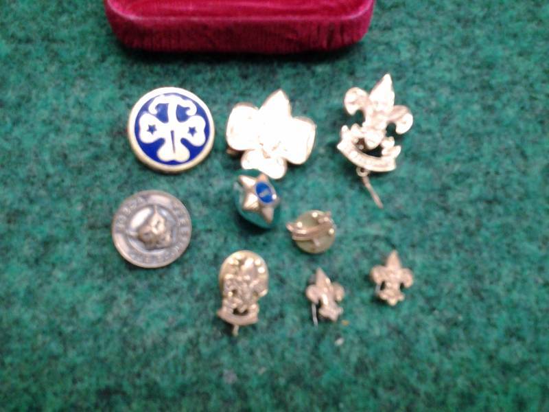 Lot Of Girl Scout & Cub Scout Pins
