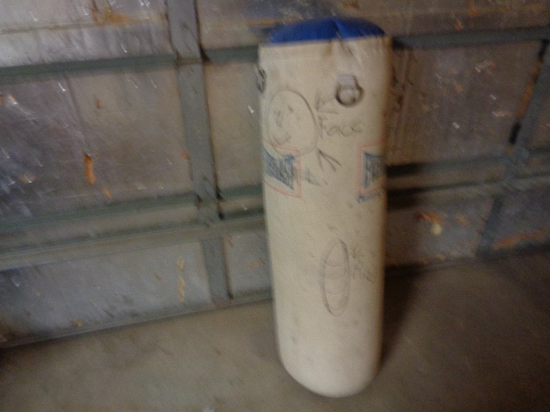 Everlast Punching  Heavy Bag