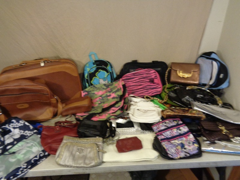 Assorted Bags, Purses, and More