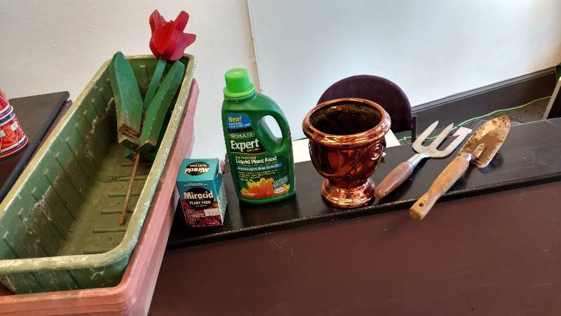 lot 17 image: Garden Lot