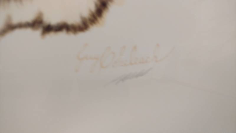 lot 101 image: Tiger Print