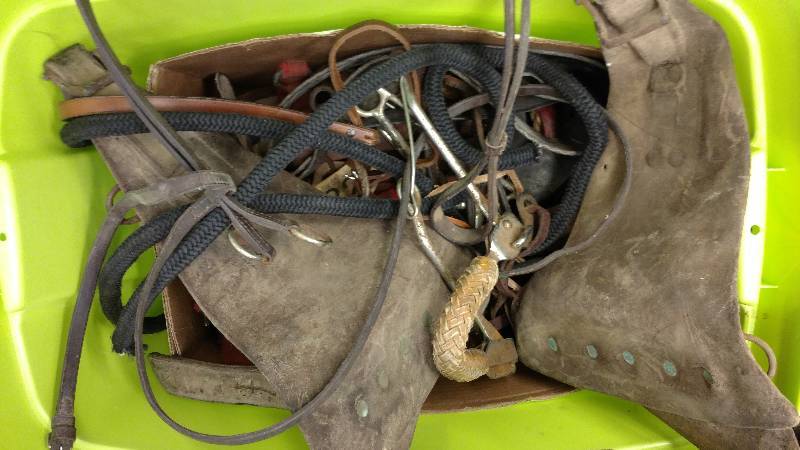 lot 107 image: Horse Lot