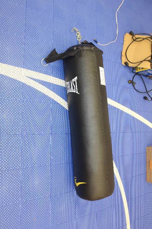 lot 17 image: Everlast Punching Bag