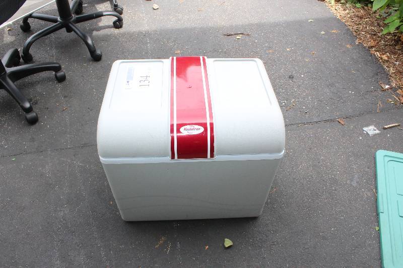 lot 134 image: Koolatron Electric Cooler