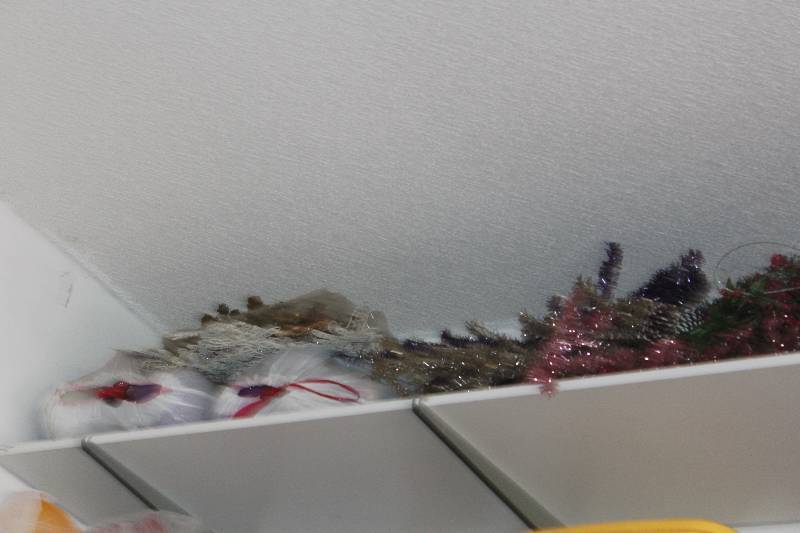 lot 162 image: Lot of Decorations