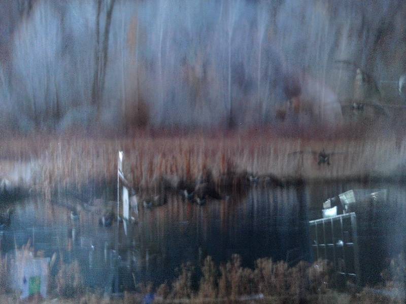 22X19 DUCK PICTURE AND 13X11 MOUNTAIN SEEN PICTURE