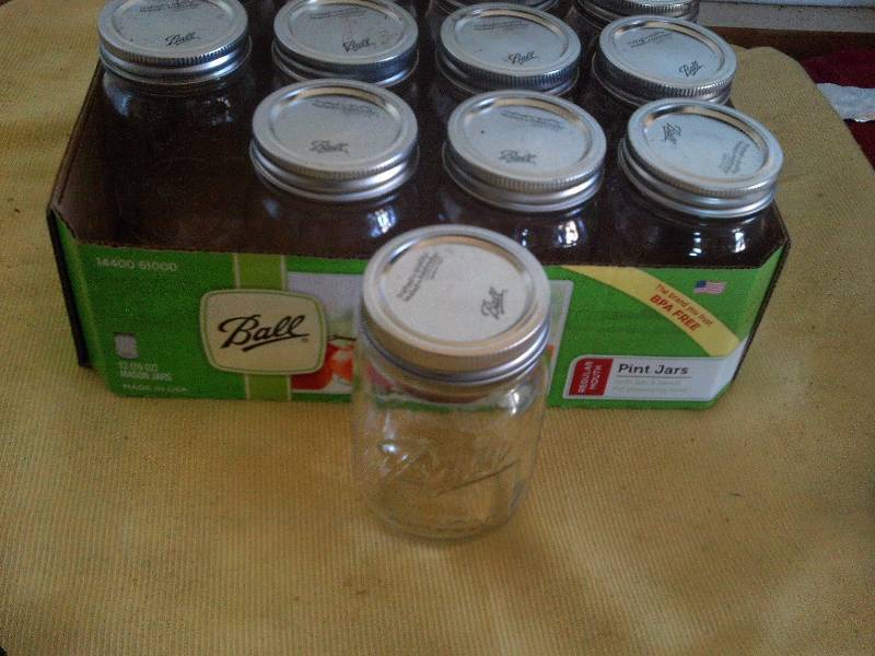 case ball pint jars