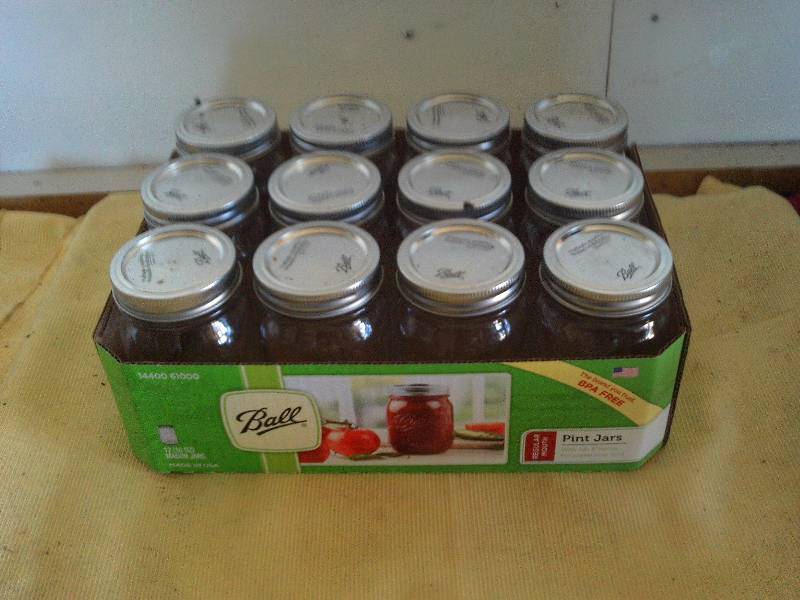 case ball pint jars